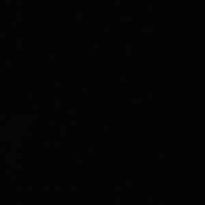 Meet your Posher, Willie